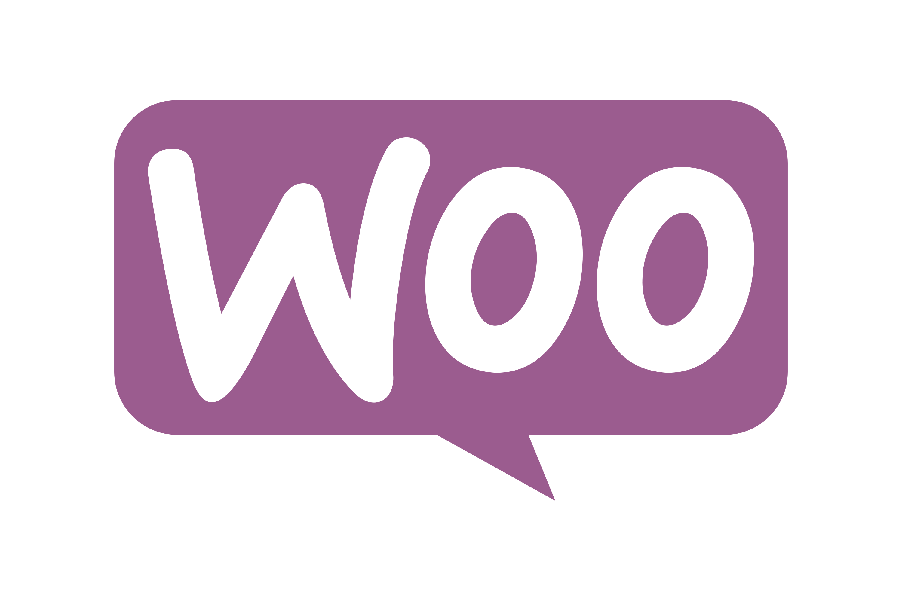 Online Store Development with WooCommerce